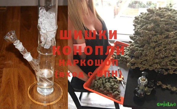 дмт Алексин