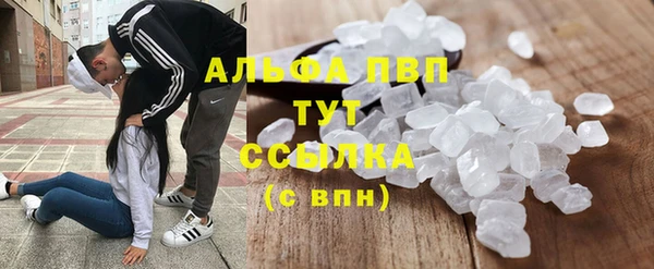 дмт Алексин